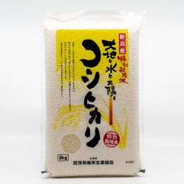 Niigata Koshihikari Hakumai